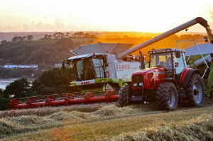 The Farm 