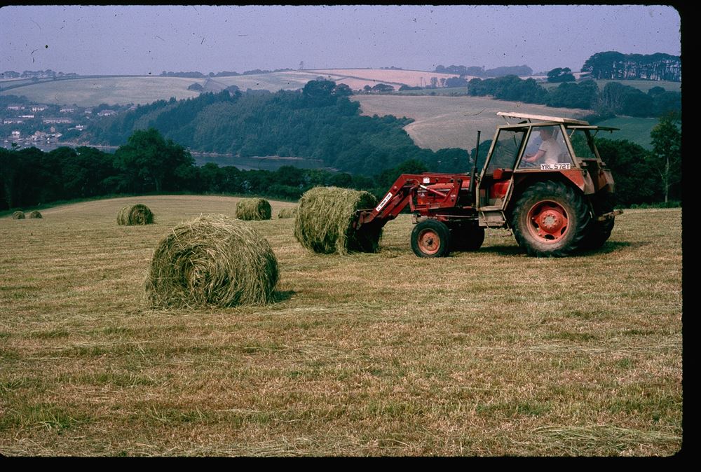 Bringing in the hay