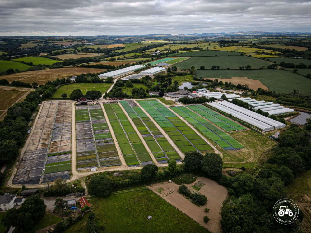 The Farm